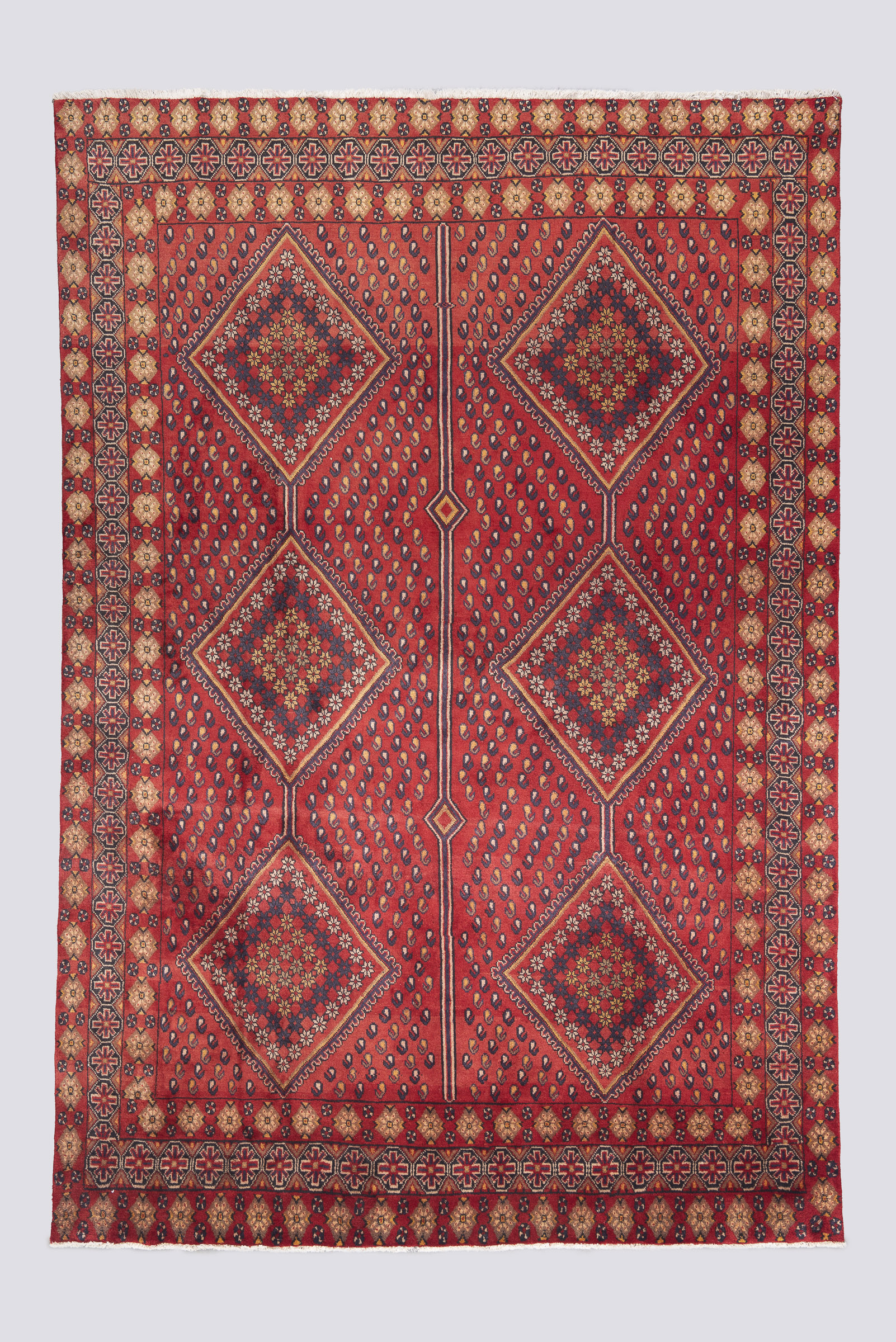 Rca154-Carpet01 Semi Antique Dehaj Garden Design Carpet 300*200Cm - Image 1