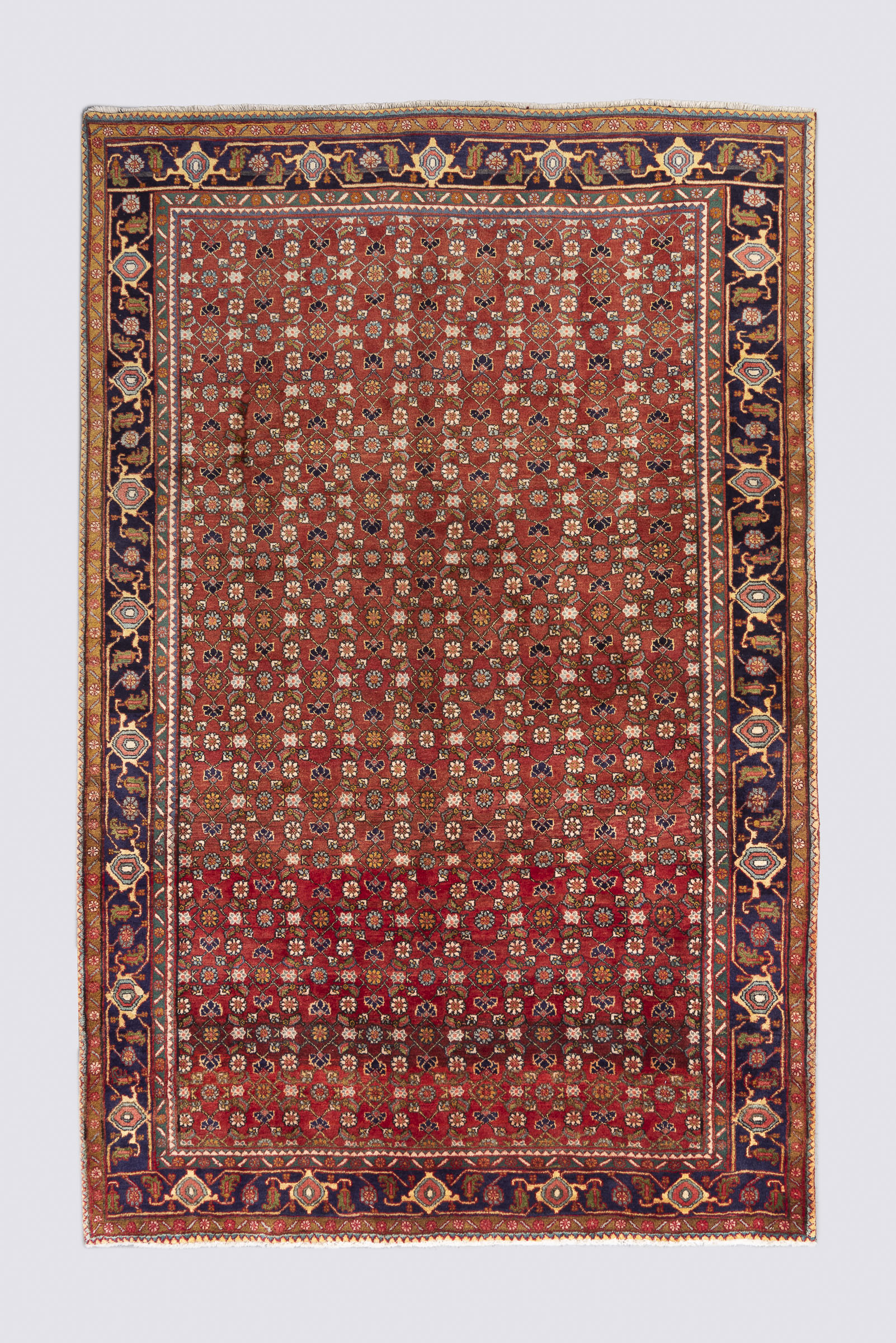 Rca326-Edit-Carpet Semi Antique Zanjan Mahi Qalat Carpet 342*226Cm - Image 1