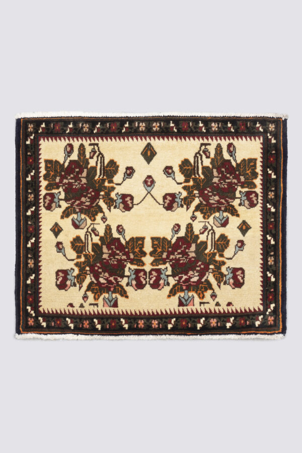Small Afshar Golfarang Rug