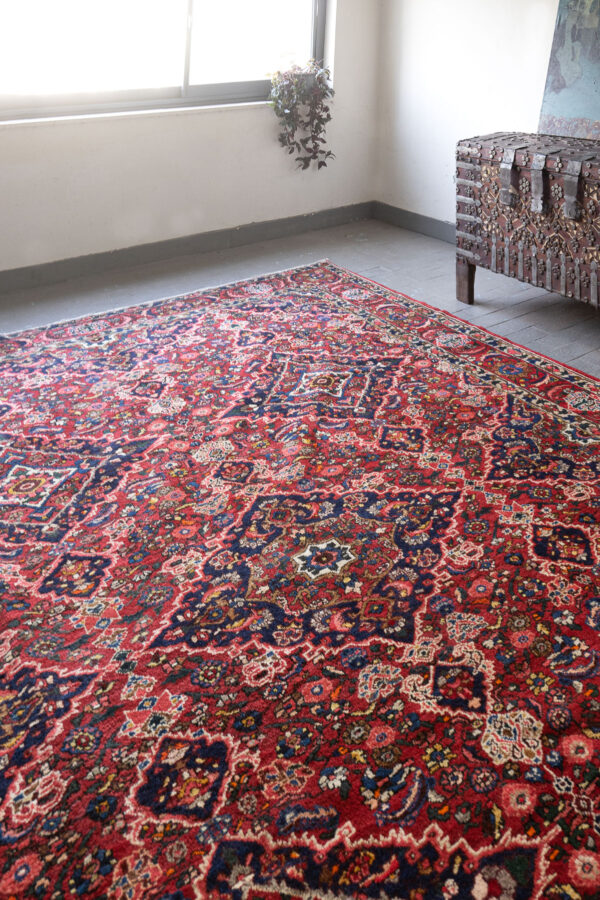 RCA497 Bakhtiari Faradonbeh Single Wefted Alvan 5 Toranj Persian 3