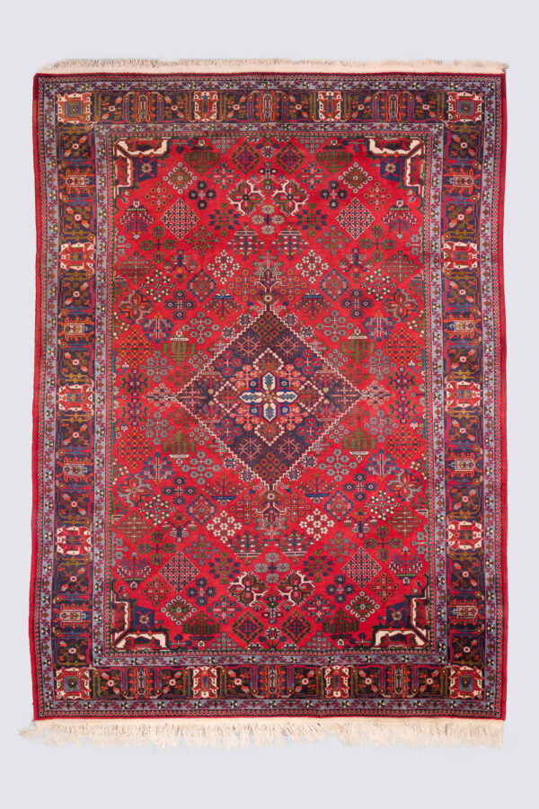 Joshaghan Lattice Garden Persian Carpet