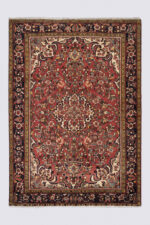 Hamadan Bocharlu carpet