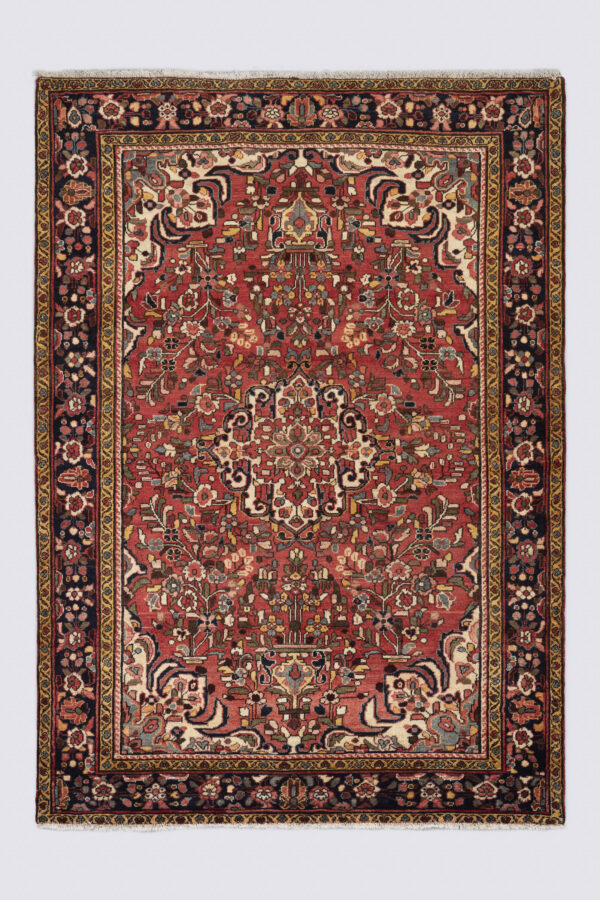 Hamadan Bocharlu carpet