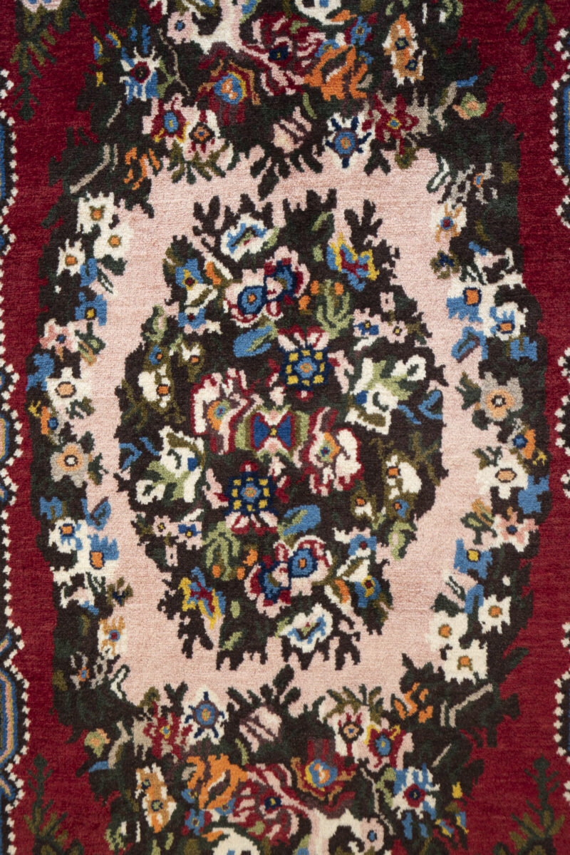 Vintage Faradonbeh Bakhtiari Golfarang 163*103CM - Image 6