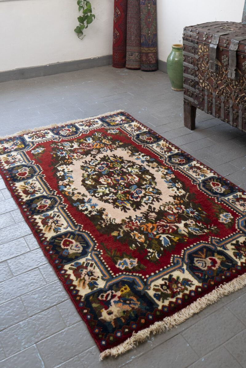 Vintage Faradonbeh Bakhtiari Golfarang 163*103CM - Image 2