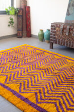 RG148 New Weave Bakhtiari Zigzag Gabbeh 5