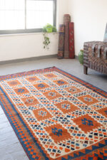 RK217 Qashqai 9 Fields Kilim 2