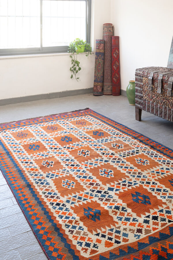 RK217 Qashqai 9 Fields Kilim 2