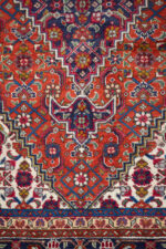 RCA486 Tabriz Mahi Dorosht Persian Rug 7