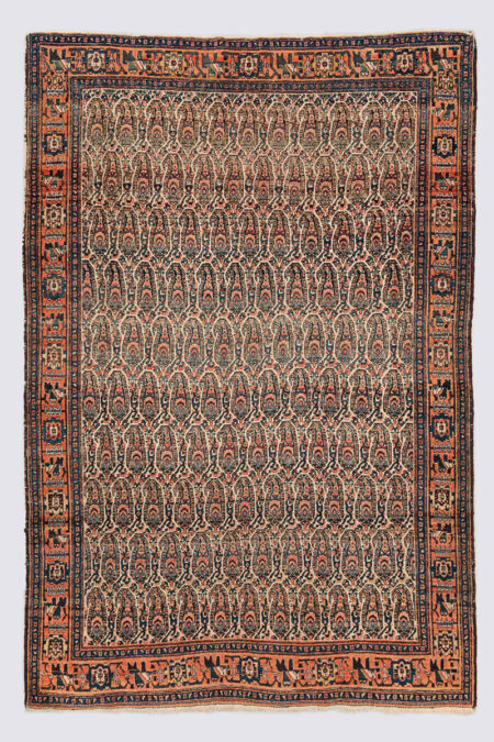 Antique Persian Senneh Rug, Boteh Field
